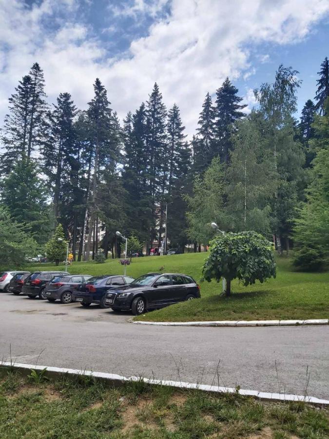 Premium Apartment In Borovets Gardens Complex Eksteriør billede
