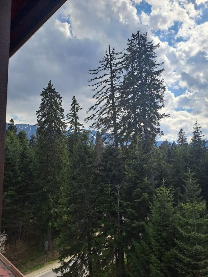 Premium Apartment In Borovets Gardens Complex Eksteriør billede
