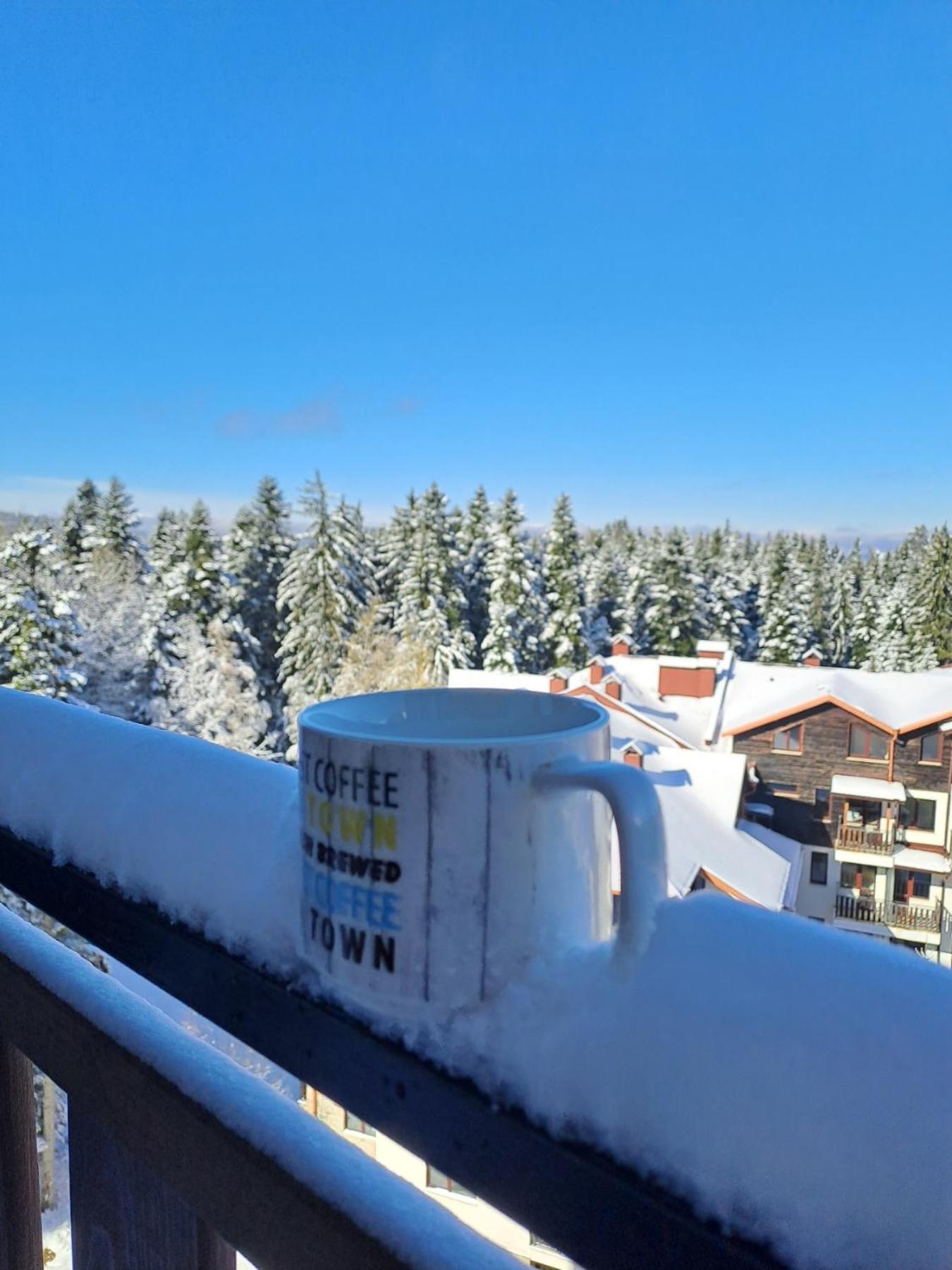 Premium Apartment In Borovets Gardens Complex Eksteriør billede